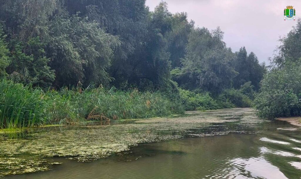 Замулення Кислицького рукава Дунаю загрожує водопостачанню понад 22 населених пунктів: що з цим планують робити?