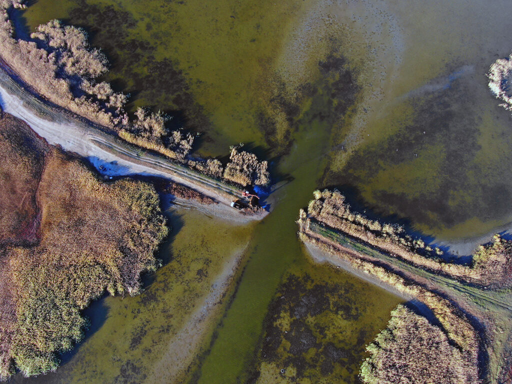На річці Сарата провели екологічні дослідження води