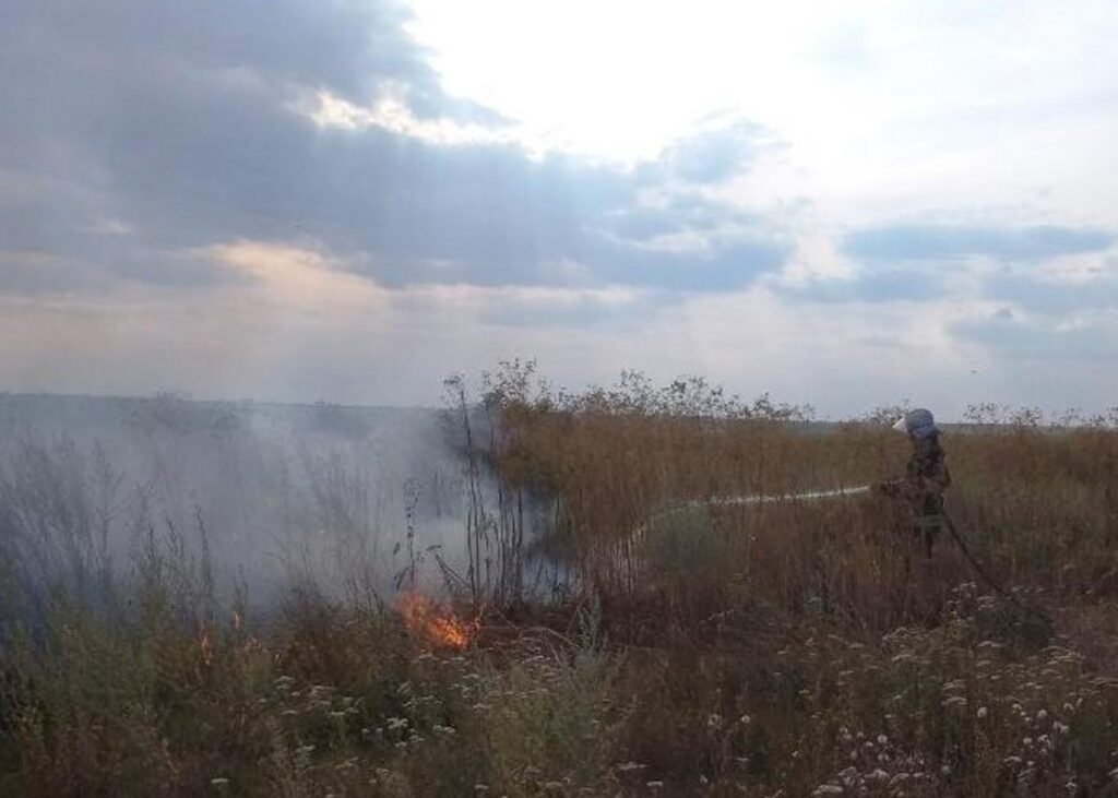 У селищі Бессарабське вісім годин тушили масштабну пожежу