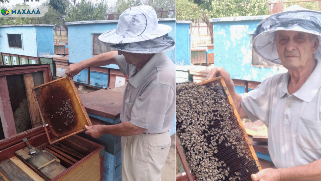 «Там, серед них, я почуваюся чудово»: відомий у Рені бджоляр Володимир Скорік про себе та справу всього свого життя