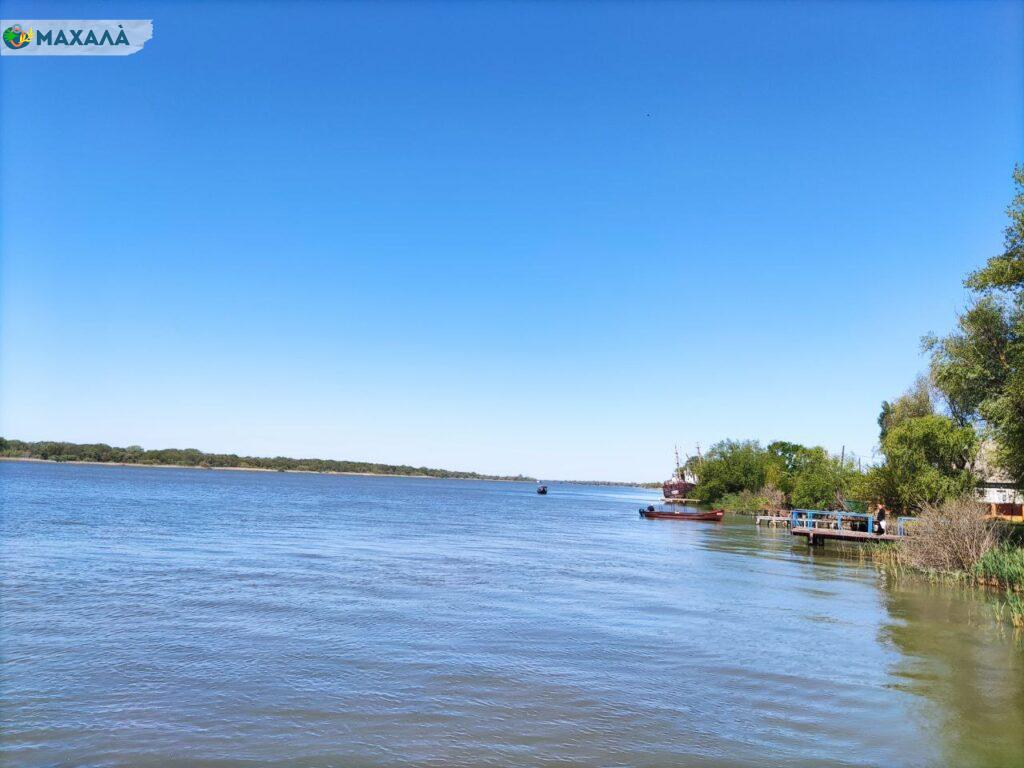 Вода в річці Дунай біля Ізмаїла небезпечна для здоров’я