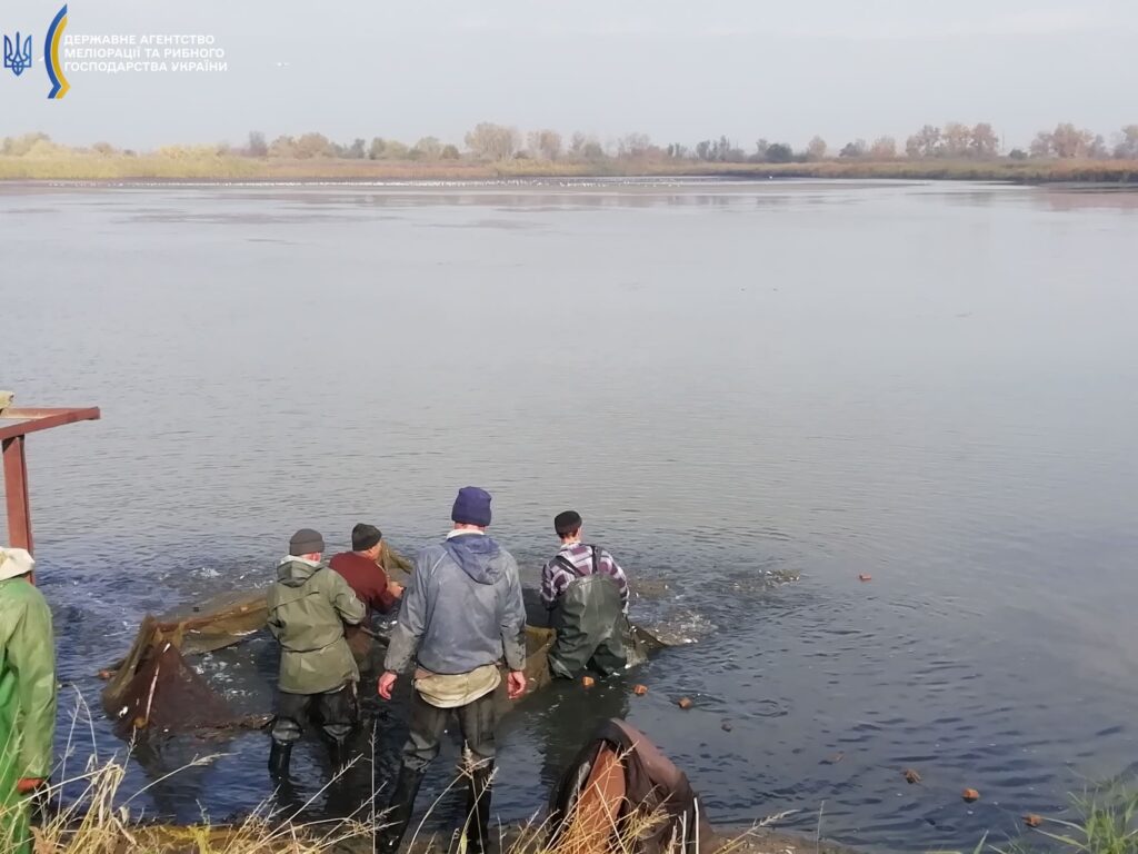 До Дністровського лиману планують випустити цінні види риб загальною вагою понад 28 тонн