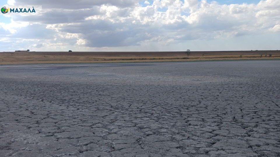 Задунаївка Болградського району залишилася без водойм: біля села повністю пересох місцевий ставок