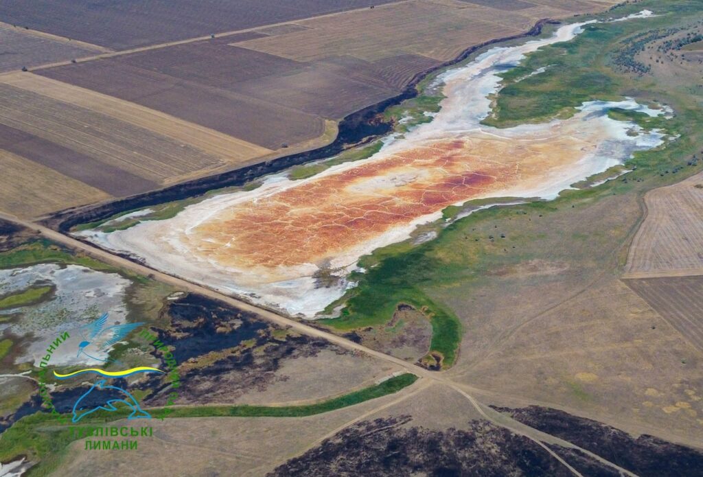 Сіль замість води: водойми Тузлівських лиманів пересихають
