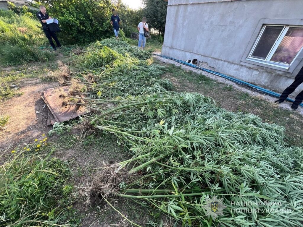 Двоє жителів Ізмаїльського району відповідатимуть перед судом за оборудки з наркотиками