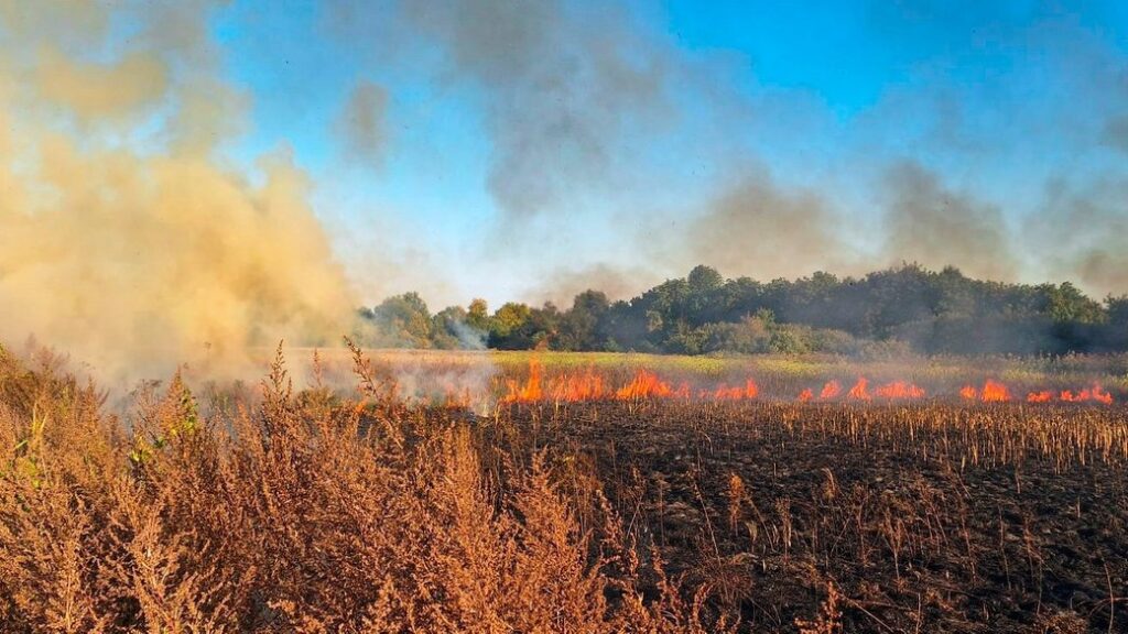 У Болградському районі пожежа на відкритій місцевості забрала людське життя