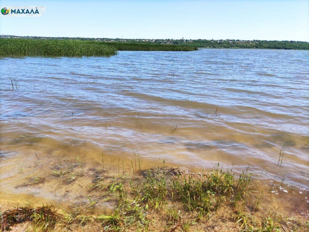 Озеро Ялпуг перевірили на наявність холерного вібріону