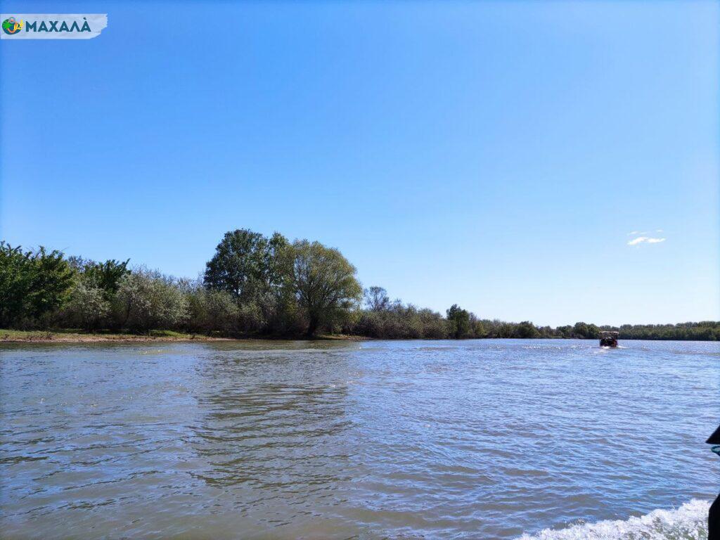 Водність Дунаю: прогнозується падіння до абсолютних мінімумів