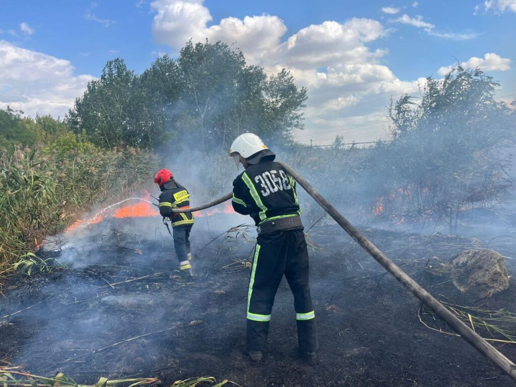 В Ізмаїльському районі горіло Леб’яже озеро 