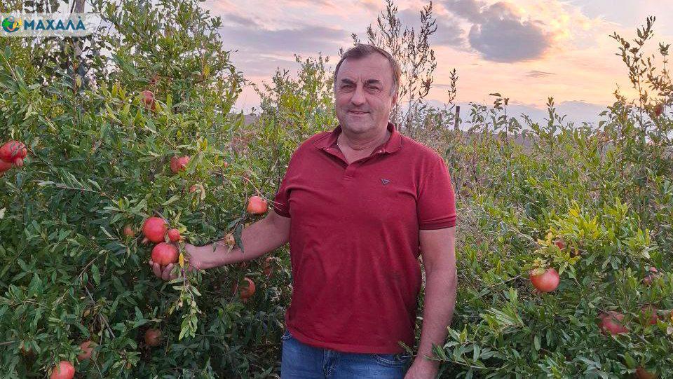 «Машин сад» та вирощування  гранат: фермер з Котловини Михайло Цонков про себе, свою родину та інновації у виробництві