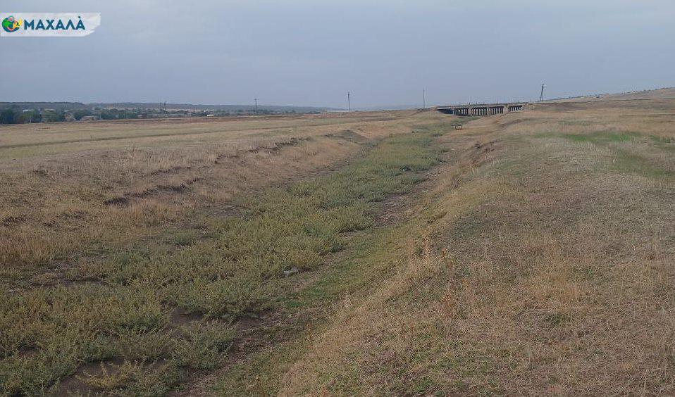 Як втручання людини призвело до повного пересихання ріки Киргиж-Китай: екологічний приклад Задунаївки Арцизької громади
