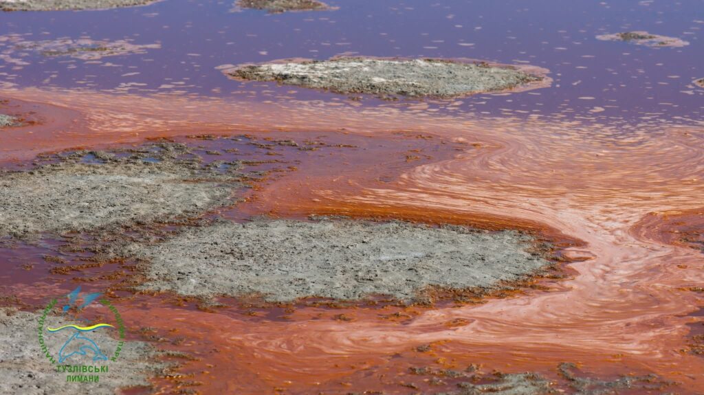 Лимани на Одещині змінили колір: природа створила неймовірне видовище у Нацпарку “Тузлівські лимани”