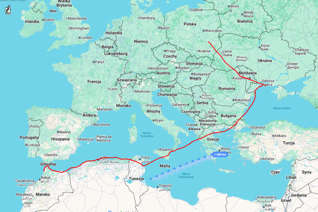 Червонокнижний птах із Польщі відвідав Тузлівські лимани під час великої міграції