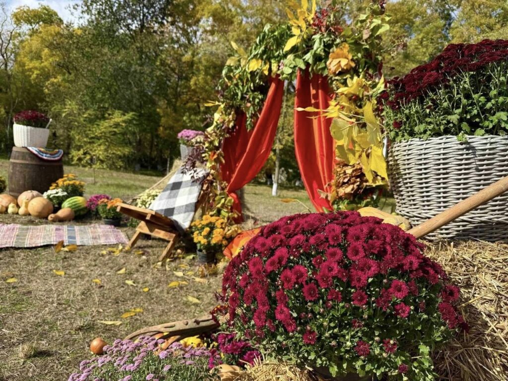 Підприємець з Арциза хоче перетворити місто на квітучий оазис