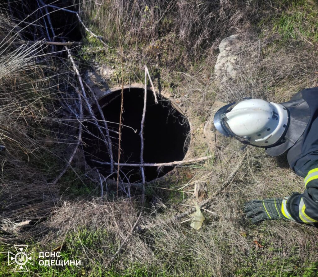 На півдні Одещини врятували цуценя, яке впало в глибокий колодязь (Відео)