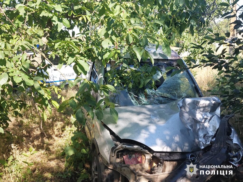 Мешканець Білгород-Дністровського району, який сів за кермо напідпитку та скоїв смертельну ДТП, постав перед судом