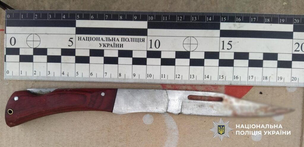 Мешканець Ренійської громади, який під час сварки зарізав співмешканку, постав перед судом