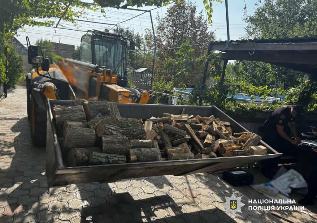 Браконьєрів з Білгород-Дністровського району, які нарубали дерев на понад пів мільйона, відправили на лаву підсудних