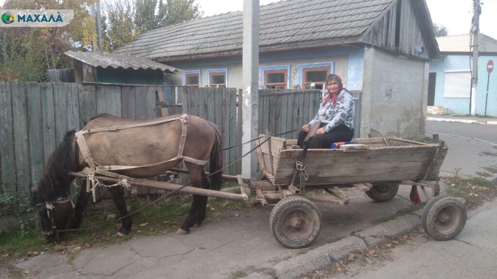 Я не можу просто сидіти без діла: Феодора Сирбу із села Долинське про себе та секрет своєї працьовитості та стійкості