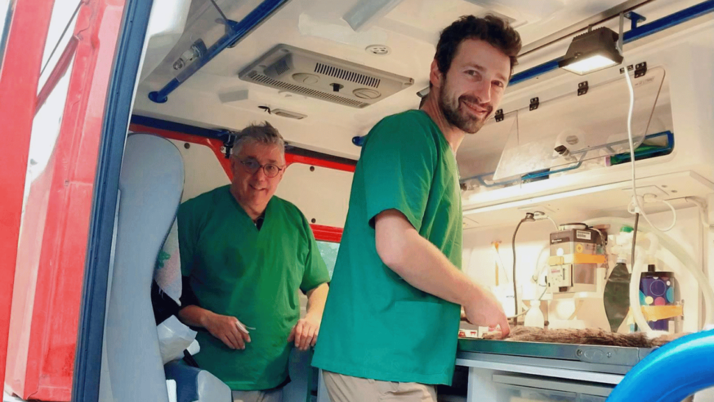 Добіг кінця ювілейний візит волонтерів фонду Vet4Ukraine до Бессарабії: скільки тварин вдалося стерилізувати&nbsp;