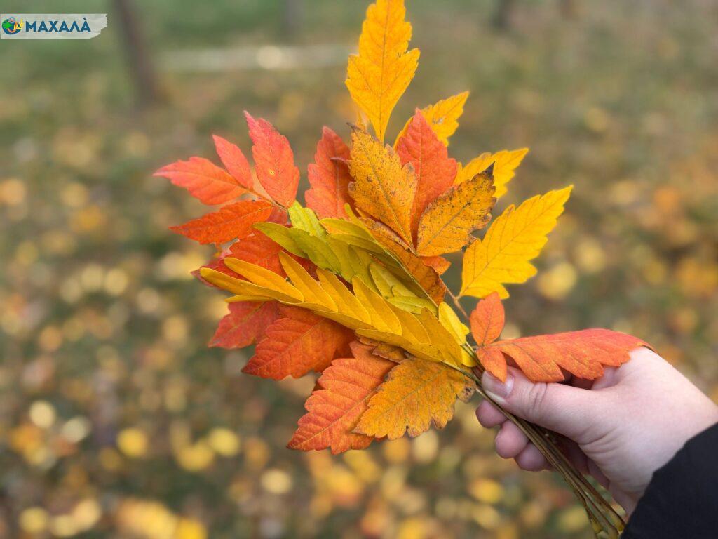 Що зміниться для українців в листопаді 2025 року