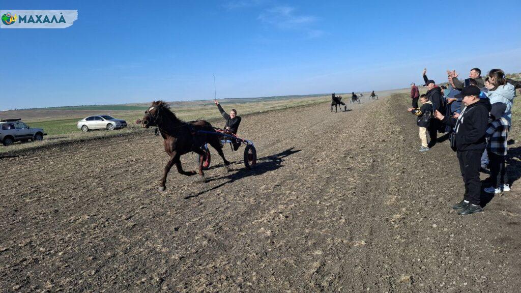 На півдні Одещини відновлюють кінні перегони (Фото)
