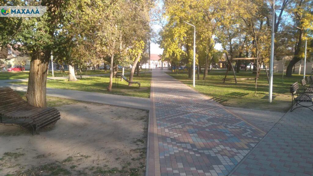 Житель Рені постане перед судом за те, що п’яний стріляв у парку