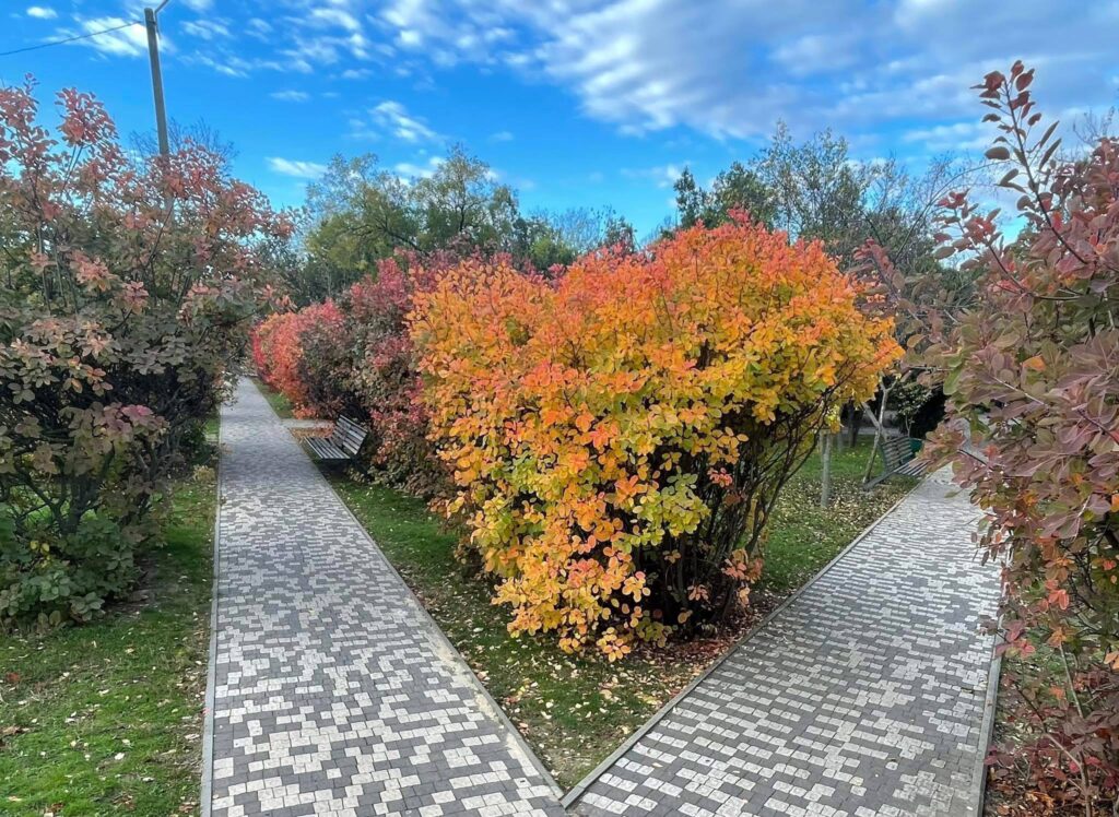 Жителі Болграда обиратимуть місце розташування Алеї Слави: в місті відбудуться громадські слухання