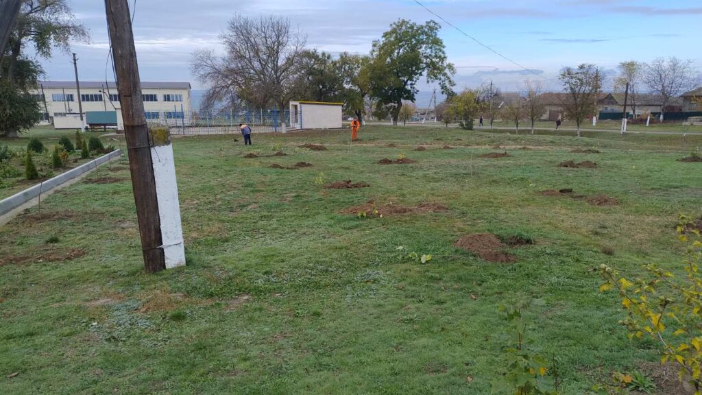 Замість сухостою – нові дерева: у Залізничному проводяться роботи з озеленення