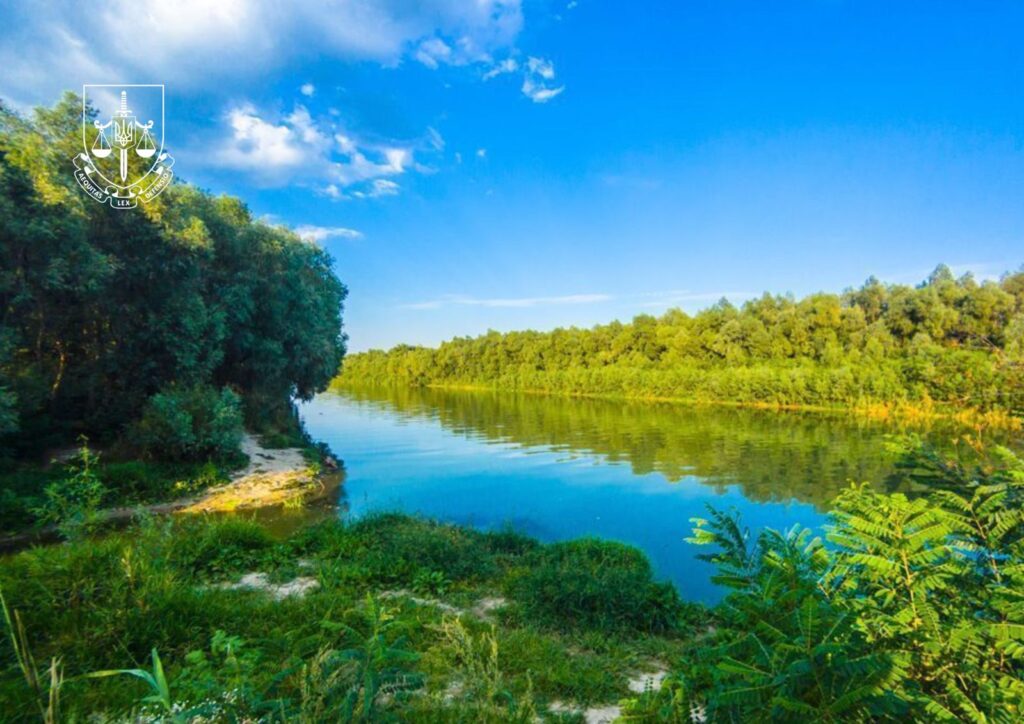 Суд відстояв «Придунайські ліси»: прокуратура повернула державі 11 га унікальних земель в Ізмаїльському районі