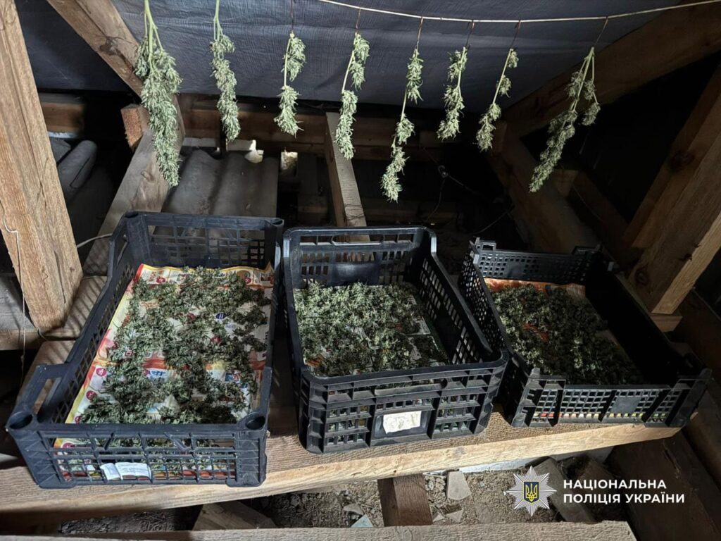 В Ізмаїлі суд розгляне справу пенсіонера, який зберігав вдома канабіс