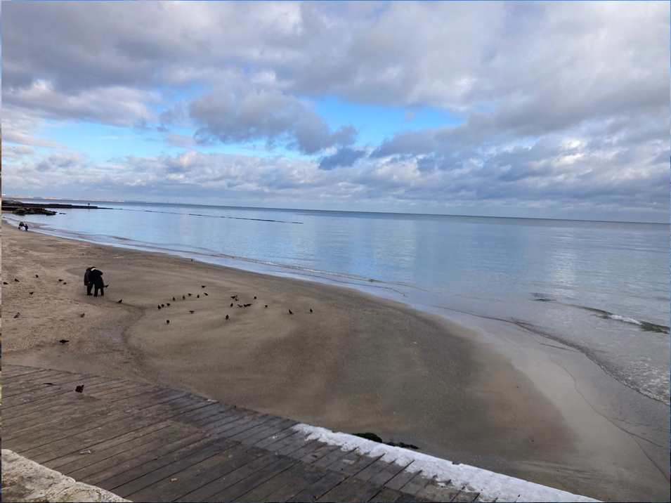 Загиблих птахів не фіксується, а стан води відповідає санітарним нормам: Одеса оговтується після розливу соняшникової олії в порту Південного
