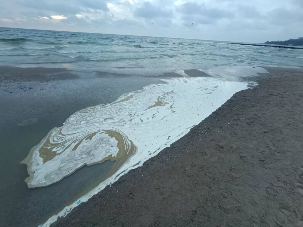 Розлив соняшникової олії з порту «Південний» дістався Одеської затоки: що відомо