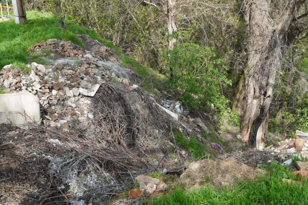 Екологічна інспекція звернула увагу на проблему засмічення ярів в Болградській громаді: залучені правоохоронні органи
