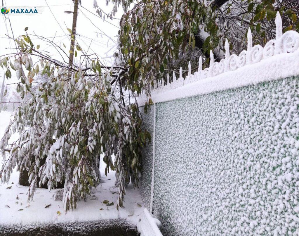 На півночі Одеської області сніжить: чи добереться сніг до півдня
