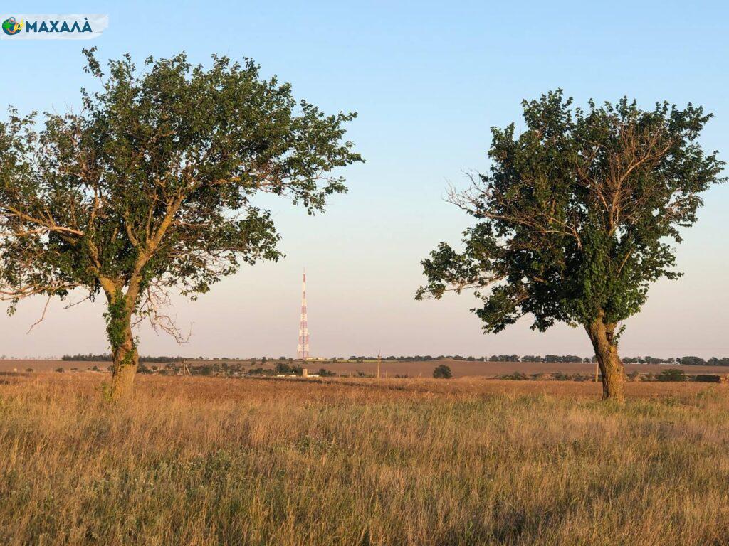 Хутір Пенчул: історія зниклого поселення Буджацького степу