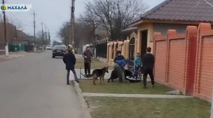 Мережею шириться відео з доказом чергового знущання над тваринами в селі Озерне