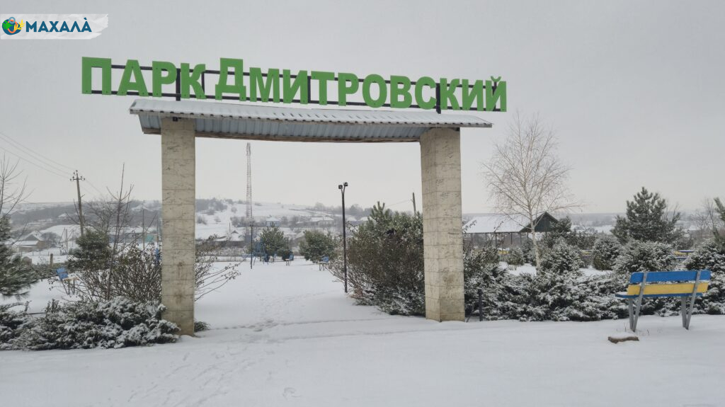 Як живе гагаузьке село Дмитрівка Городненської громади: традиції, історія та сучасність (відео)