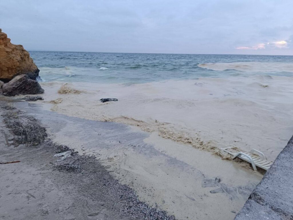 Забруднення соняшниковою олією може зберігатися на дні Чорного моря понад 6 років, — Greenpeace