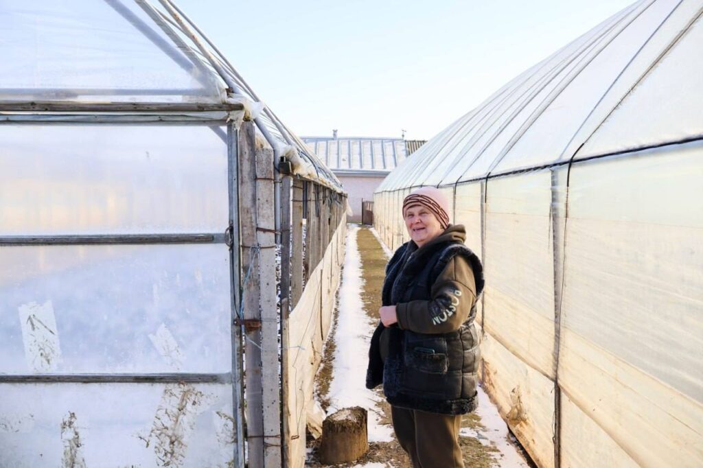 Як родина з Утконосівки розвиває свій бізнес з вирощування овочів