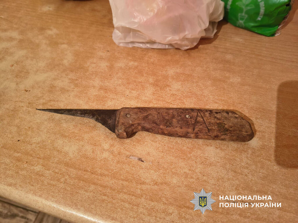 Мешканець Ізмаїльського району, який вдарив онука ножем у груди, постане перед судом