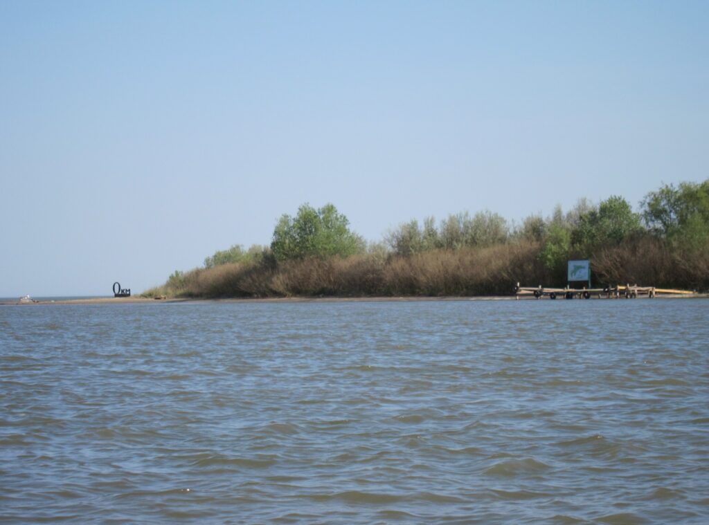Через російський безпілотник загорівся очерет на острові Анкудінов
