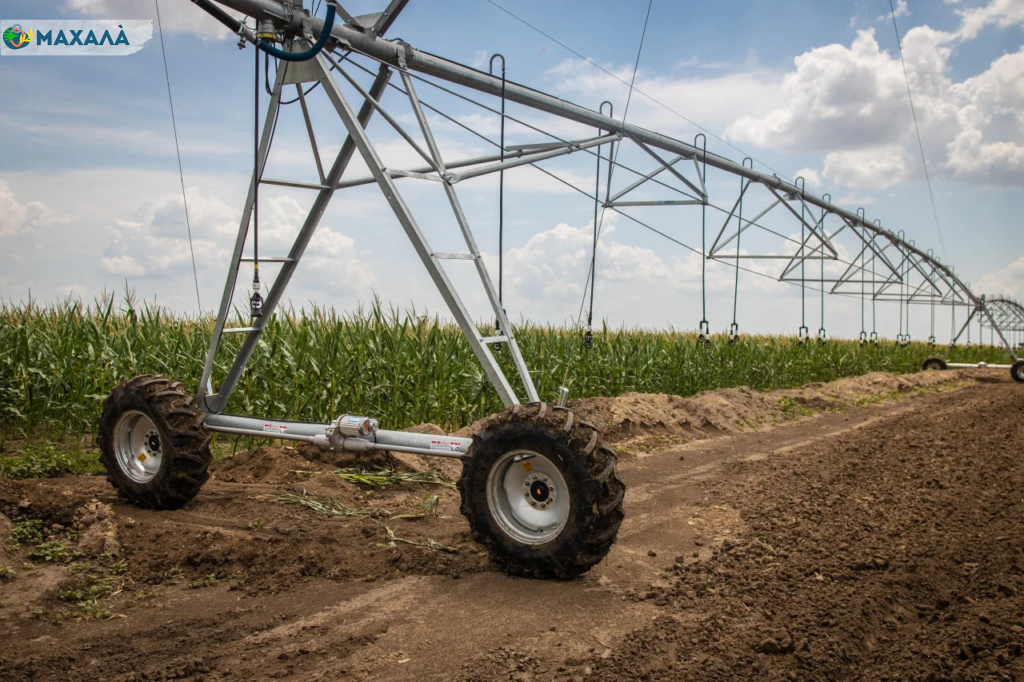 На Одещині реконструюють Татарбунарську та Кілійську зрошувальні системи