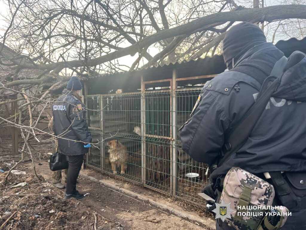 Зооволонтери Ізмаїла разом з правоохоронцями врятували понад 70 тварин від жорстокого поводження. Відкрито кримінальне впровадження