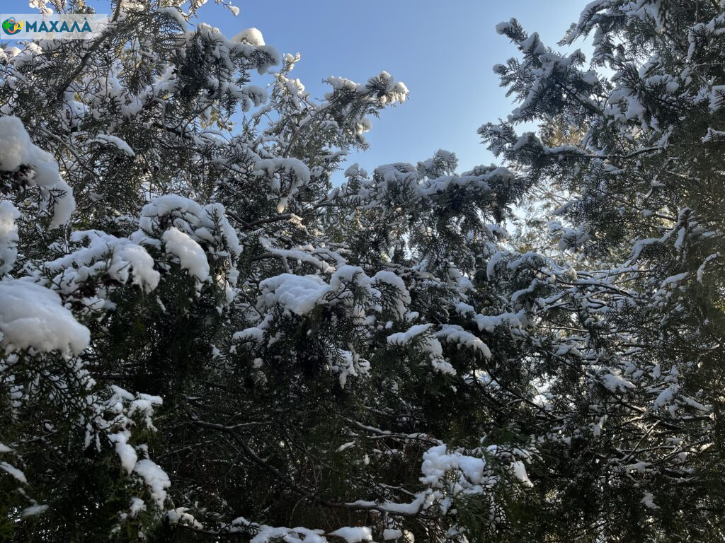 В Болградському районі 14 населених пунктів залишилися без електропостачання через негоду