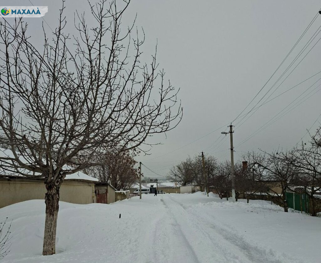 Погода на вихідні: на південь Одещини знову чекають опади та морози з відлигою