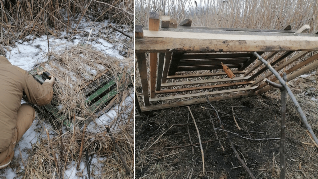 В Одеській області на території нацпарку затримали мисливця на диких тварин