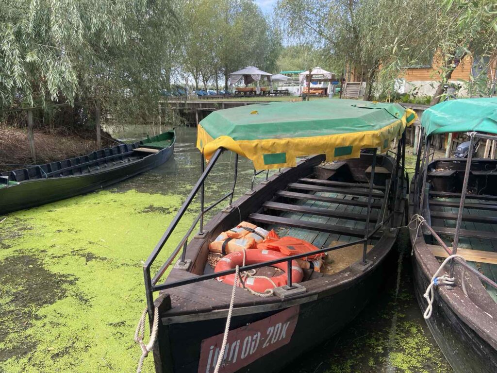 Як Сніжана Журавель відкриває туристам місто Вилкове