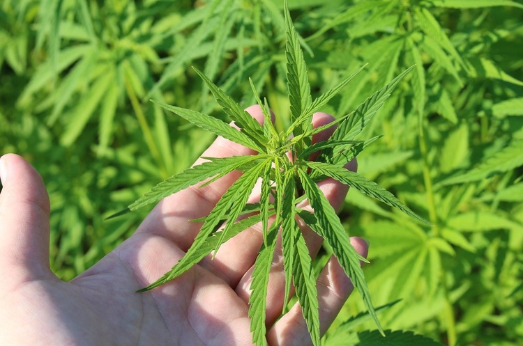 У Татарбунарах військовослужбовця засудили до ув’язнення за оборудки з наркотиками