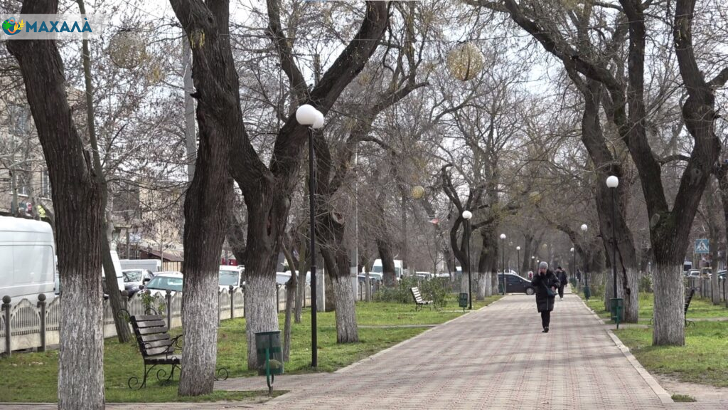 Аналіз місцевих програм Болградської громади у 2025–2026 роках